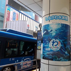 しながわ水族館 品川区 おでかけ 子連れでも安心しておでかけ