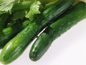 ph_cucumber01