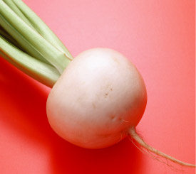 ph_turnip01