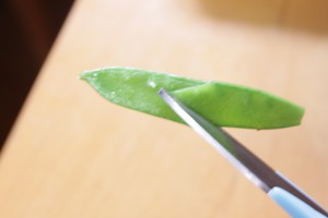 Cup_sushi_006