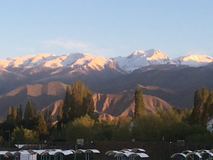IMG_6844