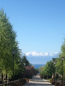 IMG_6866