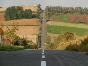 IMG_7530