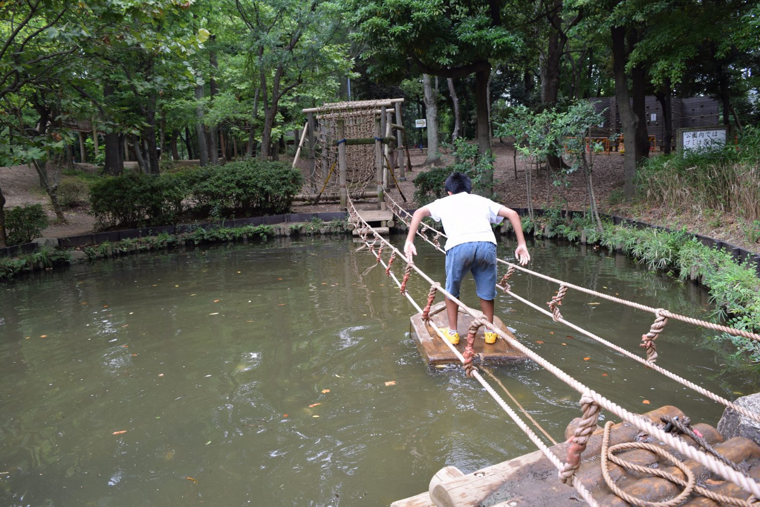 幼児向けアスレチックもある「平和の森公園 フィールドアスレチック」 大田区 ココフル