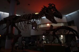 動物園、遊園地、美術館でも開催！猛暑の夏休みは夜イベントへGo